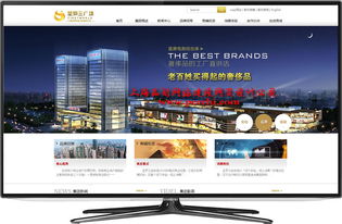 金山網站建設 從制作到設計的全方位指南