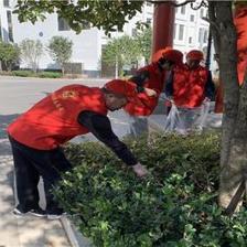 愛國衛(wèi)生重參與 志愿服務(wù)齊行動(dòng)——麒麟?yún)^(qū)太和街道開展建筑物清潔服務(wù)